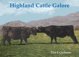 Highland Cattle Galore